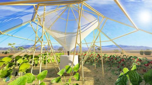 Greenhouses Ethiopía 2