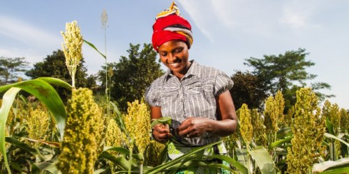 youth-farmers-in-Kenya.jpg
